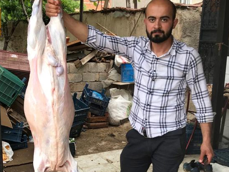 MERAM KURBAN;selçuklu adaklık koç,kurbanlık,karatay adakcı. konyada adakcı, adaklık kurban,adak satışı